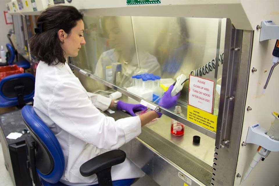 Female research staff member in lab