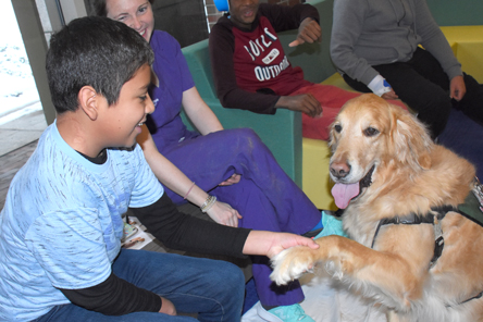 male patient with therapy dog and staff member