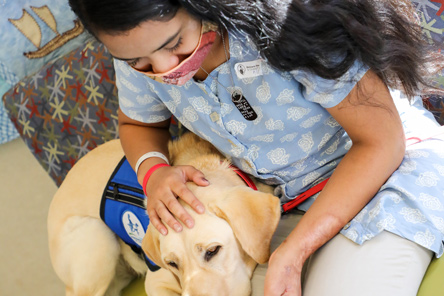 chien de thérapie et patient