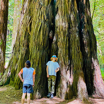 Noah frente a un árbol gigante.