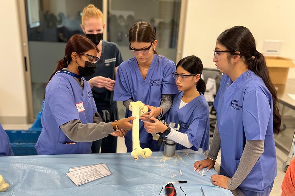 orthopedic surgeon teaching four students